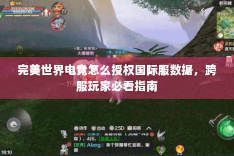 完美世界电竞怎么授权国际服数据，跨服玩家必看指南