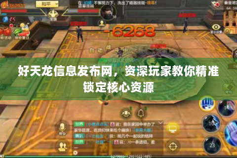 好天龙信息发布网，资深玩家教你精准锁定核心资源
