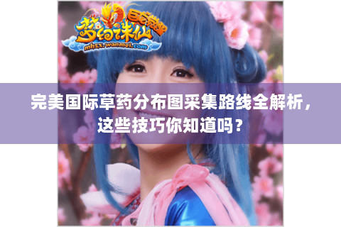 完美国际草药分布图采集路线全解析，这些技巧你知道吗？