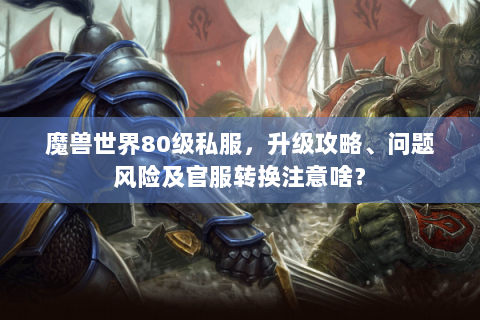 魔兽世界80级私服，升级攻略、问题风险及官服转换注意啥？