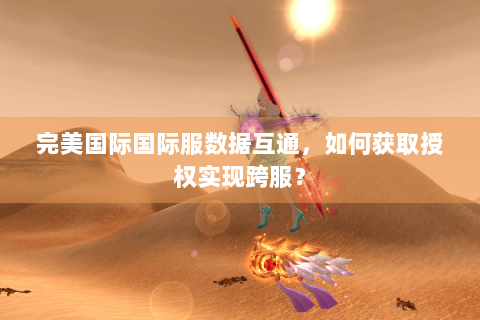 完美国际国际服数据互通，如何获取授权实现跨服？