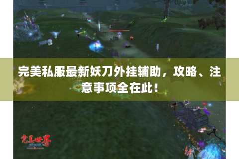 完美私服最新妖刀外挂辅助，攻略、注意事项全在此！
