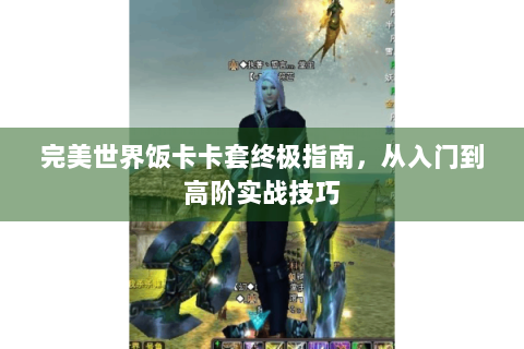 完美世界饭卡卡套终极指南，从入门到高阶实战技巧