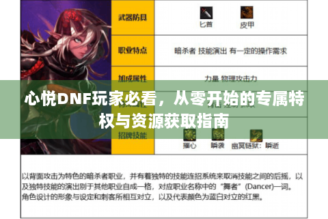 心悦DNF玩家必看，从零开始的专属特权与资源获取指南