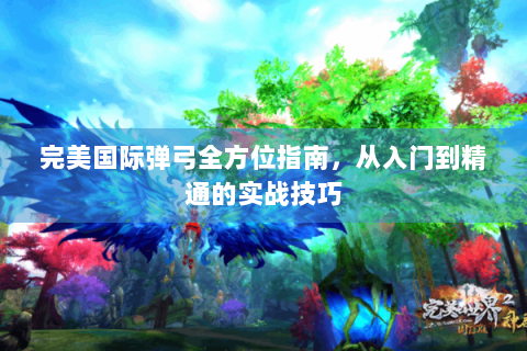 完美国际弹弓全方位指南，从入门到精通的实战技巧