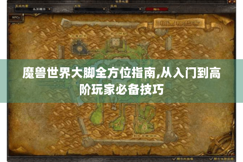魔兽世界大脚全方位指南,从入门到高阶玩家必备技巧