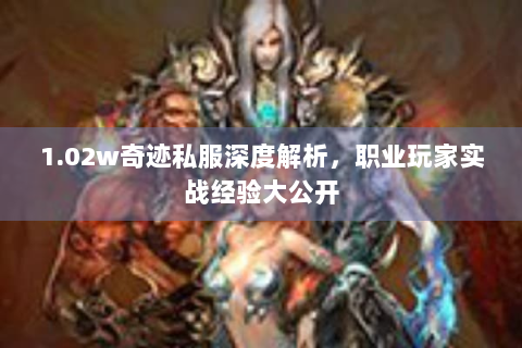 1.02w奇迹私服深度解析，职业玩家实战经验大公开