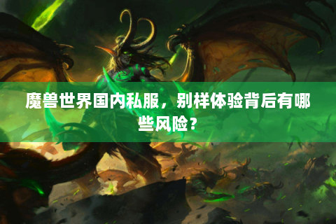 魔兽世界国内私服，别样体验背后有哪些风险？