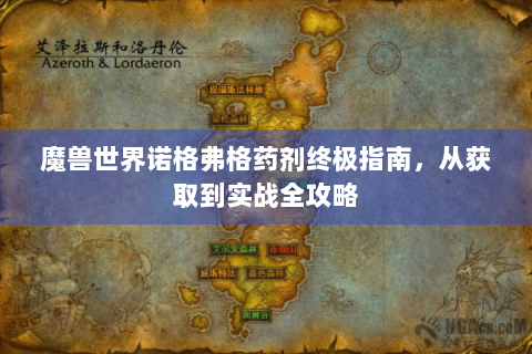 魔兽世界诺格弗格药剂终极指南，从获取到实战全攻略