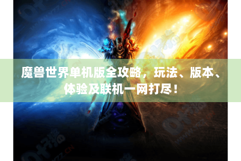 魔兽世界单机版全攻略，玩法、版本、体验及联机一网打尽！