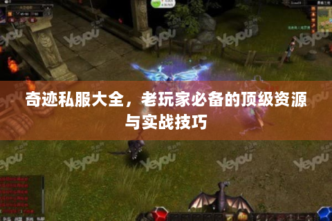 奇迹私服大全，老玩家必备的顶级资源与实战技巧