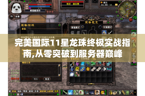 完美国际11星龙珠终极实战指南,从零突破到服务器巅峰