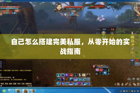 自己怎么搭建完美私服，从零开始的实战指南