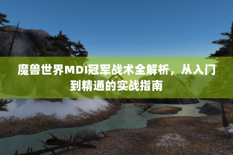 魔兽世界MDI冠军战术全解析，从入门到精通的实战指南