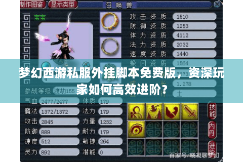 梦幻西游私服外挂脚本免费版，资深玩家如何高效进阶？
