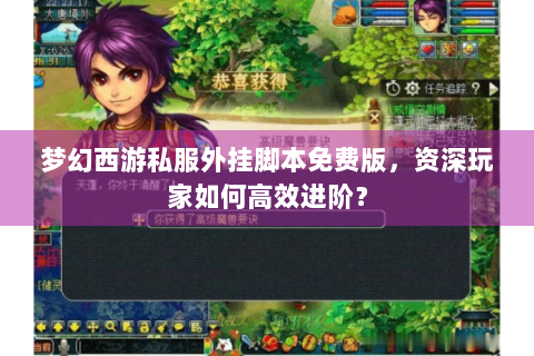 梦幻西游私服外挂脚本免费版，资深玩家如何高效进阶？