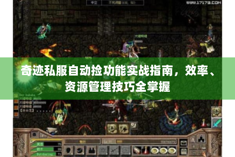 奇迹私服自动捡功能实战指南，效率、资源管理技巧全掌握