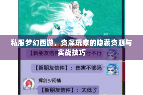 私服梦幻西游，资深玩家的隐藏资源与实战技巧