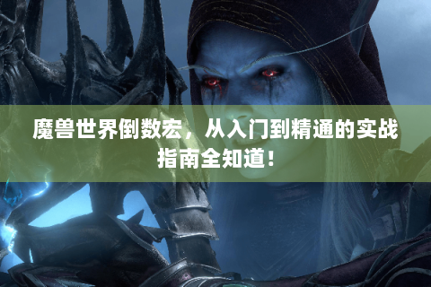 魔兽世界倒数宏，从入门到精通的实战指南全知道！