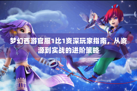 梦幻西游官服1比1资深玩家指南，从资源到实战的进阶策略