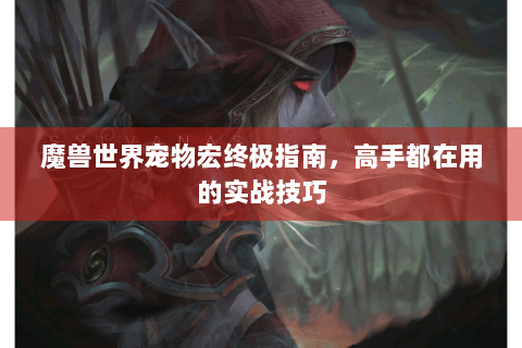 魔兽世界宠物宏终极指南，高手都在用的实战技巧
