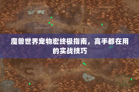 魔兽世界宠物宏终极指南，高手都在用的实战技巧
