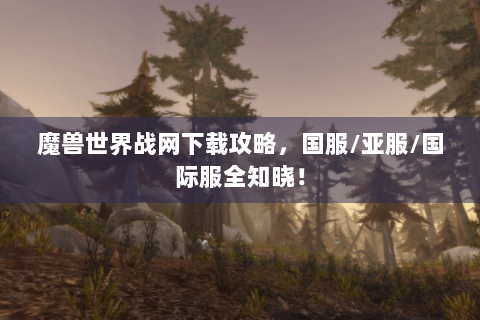 魔兽世界战网下载攻略，国服/亚服/国际服全知晓！
