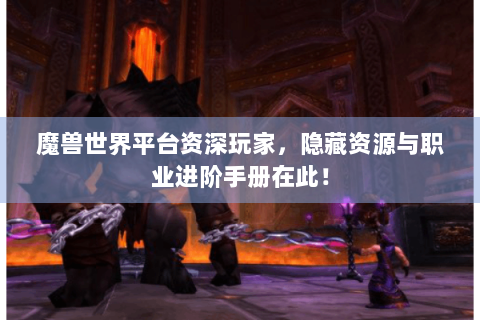魔兽世界平台资深玩家，隐藏资源与职业进阶手册在此！