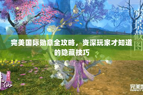 完美国际勋章全攻略，资深玩家才知道的隐藏技巧