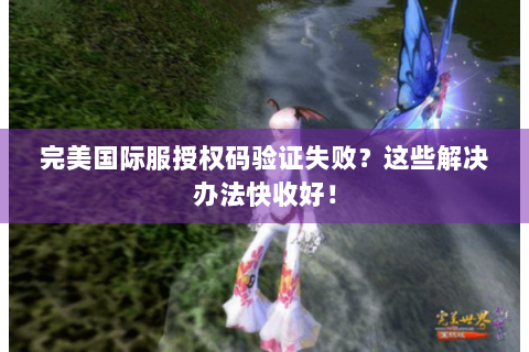 完美国际服授权码验证失败？这些解决办法快收好！