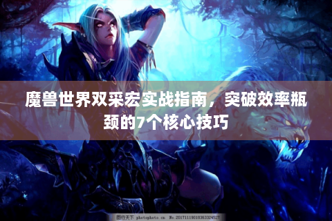 魔兽世界双采宏实战指南，突破效率瓶颈的7个核心技巧
