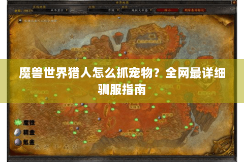 魔兽世界猎人怎么抓宠物？全网最详细驯服指南