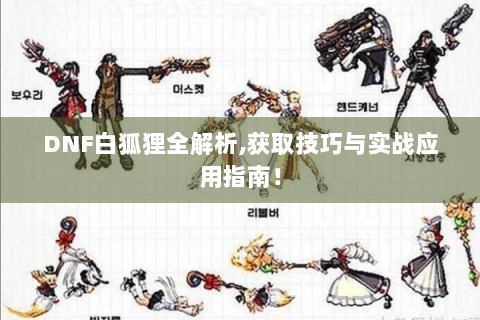 DNF白狐狸全解析,获取技巧与实战应用指南！