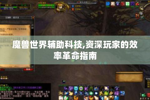 魔兽世界辅助科技,资深玩家的效率革命指南