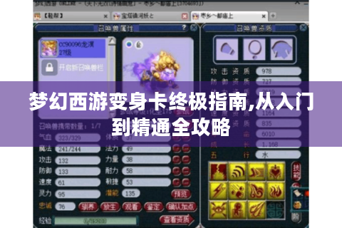 梦幻西游变身卡终极指南,从入门到精通全攻略