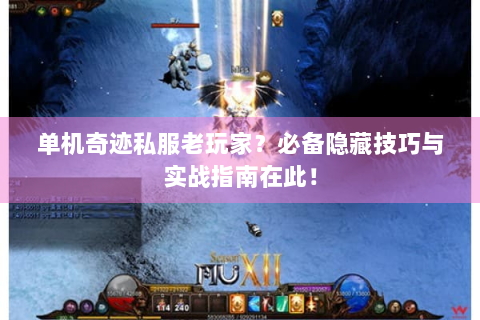 单机奇迹私服老玩家？必备隐藏技巧与实战指南在此！