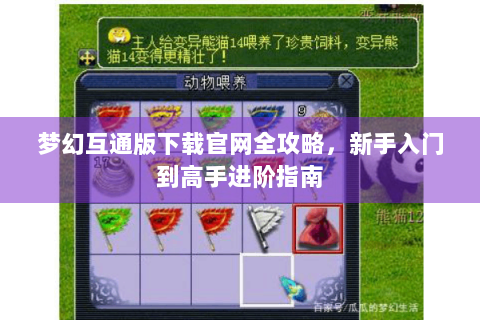 梦幻互通版下载官网全攻略，新手入门到高手进阶指南