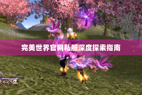 完美世界官网私服深度探索指南