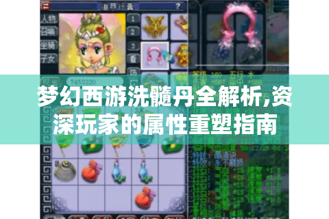 梦幻西游洗髓丹全解析,资深玩家的属性重塑指南