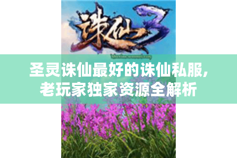 圣灵诛仙最好的诛仙私服,老玩家独家资源全解析