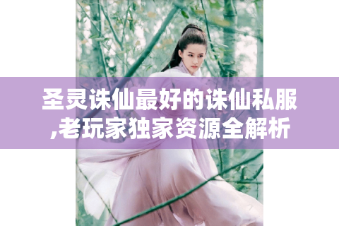 圣灵诛仙最好的诛仙私服,老玩家独家资源全解析
