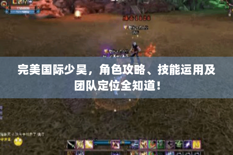 完美国际少昊，角色攻略、技能运用及团队定位全知道！