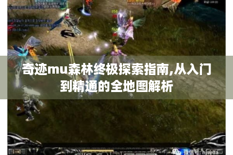 奇迹mu森林终极探索指南,从入门到精通的全地图解析