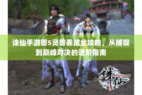 诛仙手游兽5灵兽养成全攻略，从捕捉到巅峰对决的进阶指南