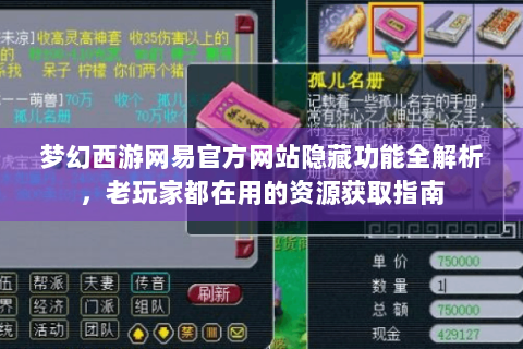梦幻西游网易官方网站隐藏功能全解析，老玩家都在用的资源获取指南