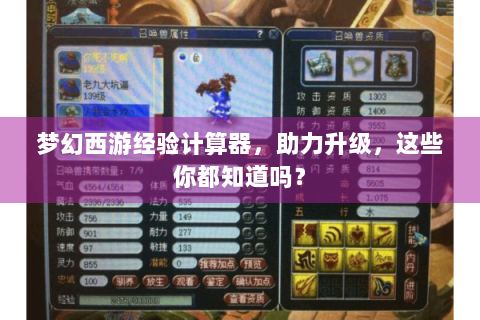梦幻西游经验计算器，助力升级，这些你都知道吗？