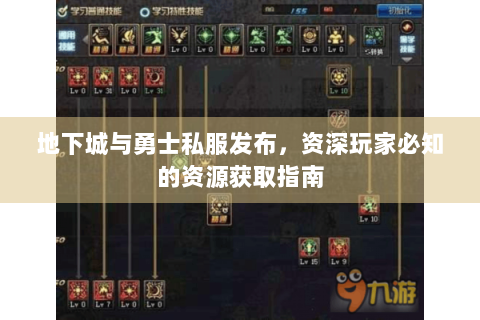 地下城与勇士私服发布，资深玩家必知的资源获取指南