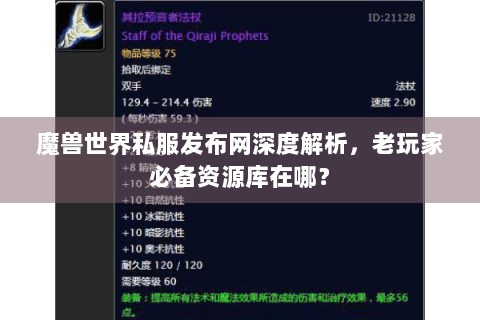魔兽世界私服发布网深度解析，老玩家必备资源库在哪？