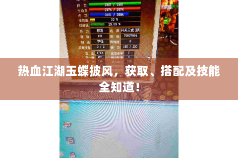 热血江湖玉蝶披风，获取、搭配及技能全知道！