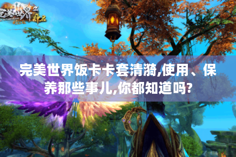 完美世界饭卡卡套清漪,使用、保养那些事儿,你都知道吗?
